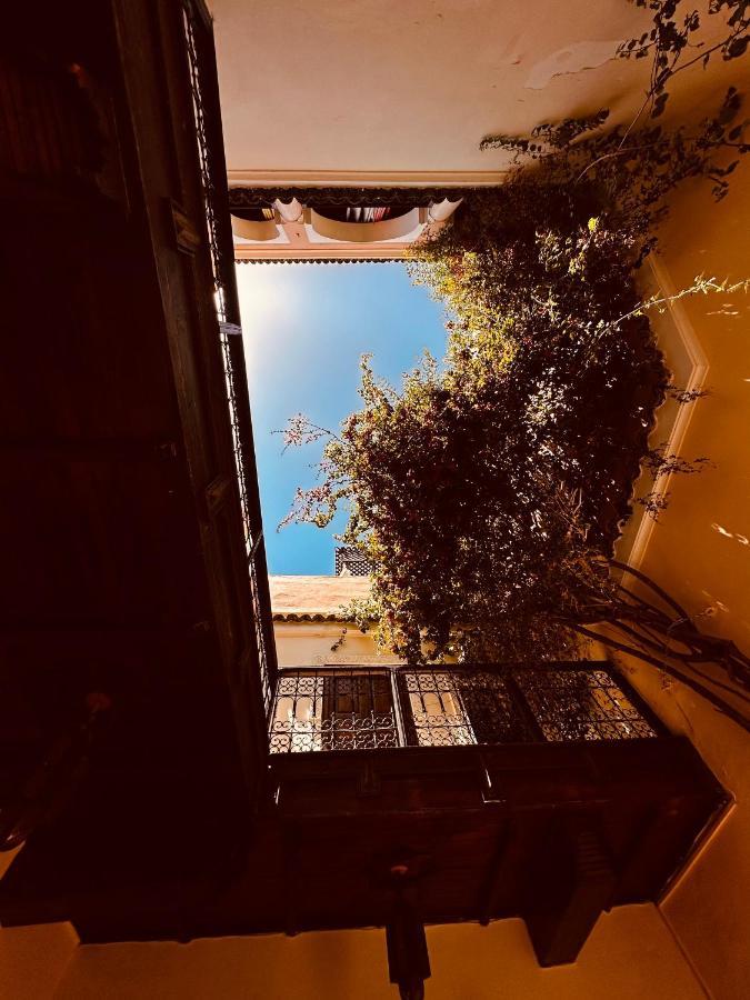 Riad Msholidays Bassin Privatise Marrakech Марракеш Экстерьер фото